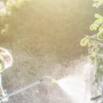 Pesticide Garden Plants Spraying With Professional Equipment By