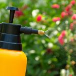 pesticide regulations