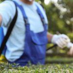 pesticide sds sheets